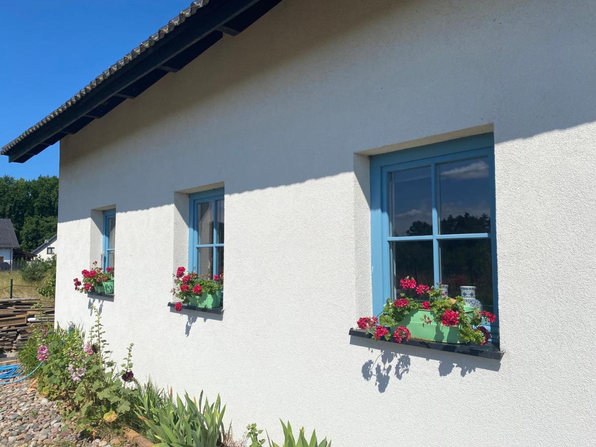 Dom Na Szumiacych Drzew Vila Debina  Exterior foto